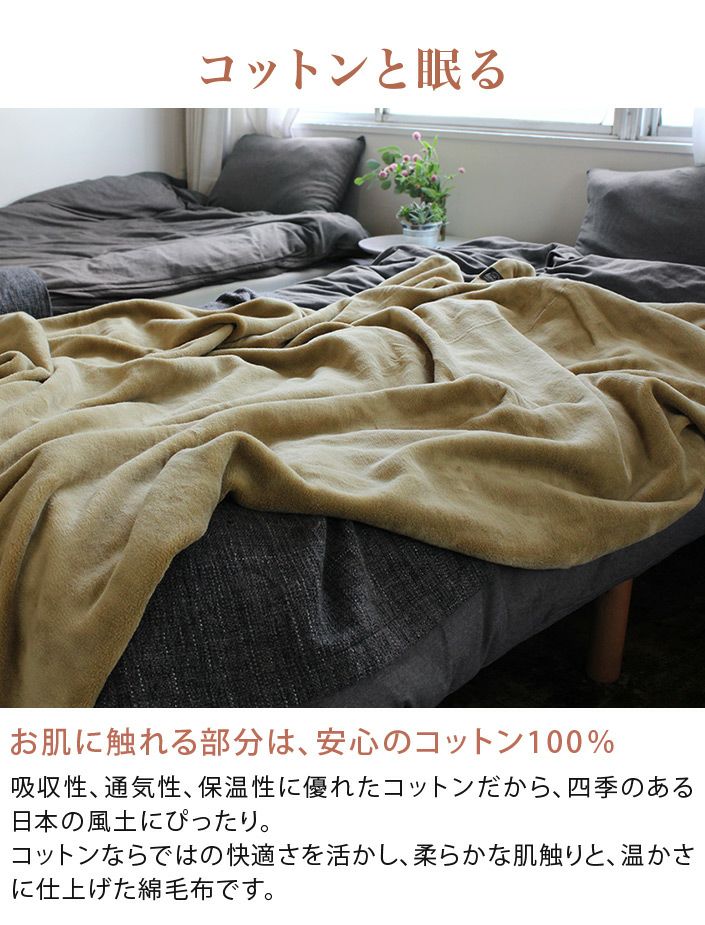 000000000254-02-l.jpg?t= 